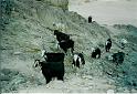 Egypte 20030032